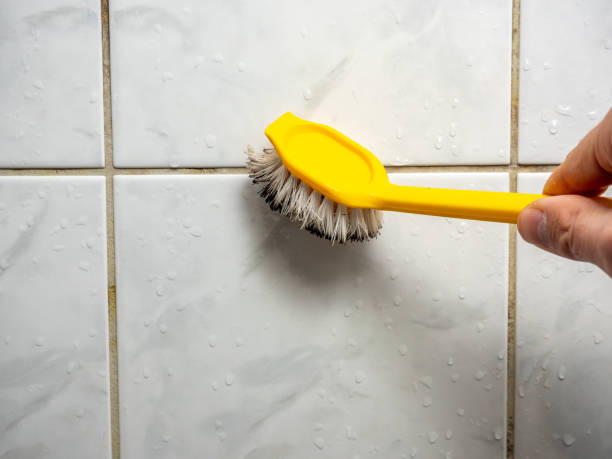 Best Residential Mold Removal  in Nevada, TX