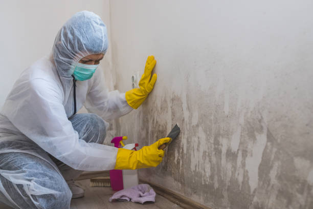 Water Damage Restoration in Nevada, TX