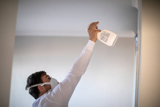 Professional Mold Removal in Nevada, TX
