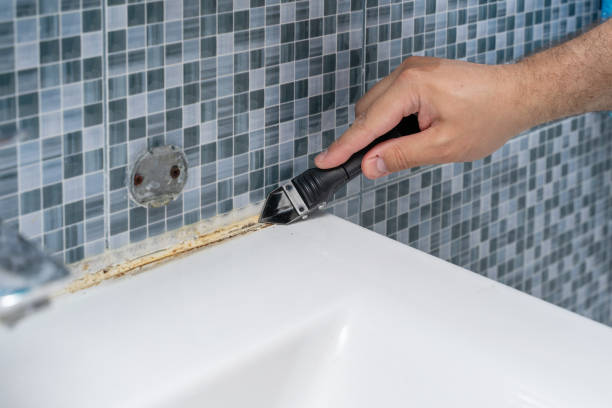 Best Affordable Mold Removal  in Nevada, TX